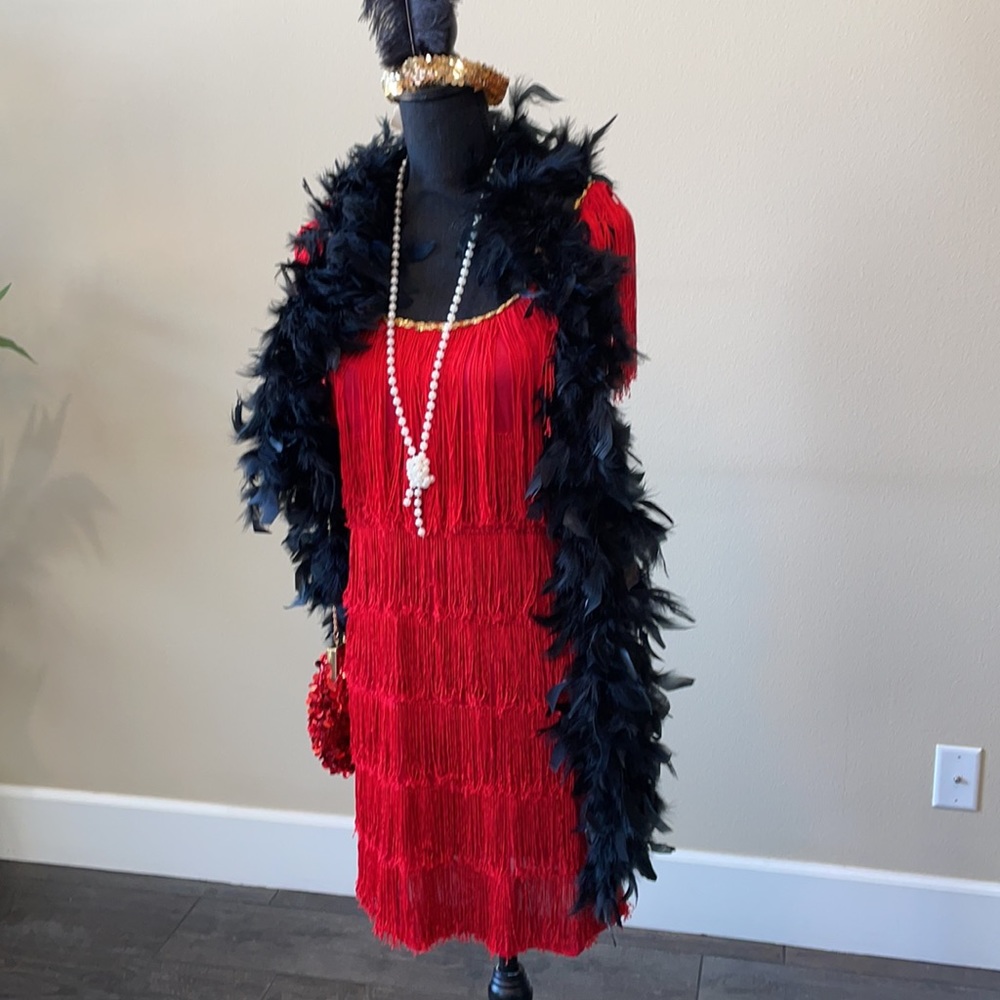 Super Cute 1920’s Flapper Costume